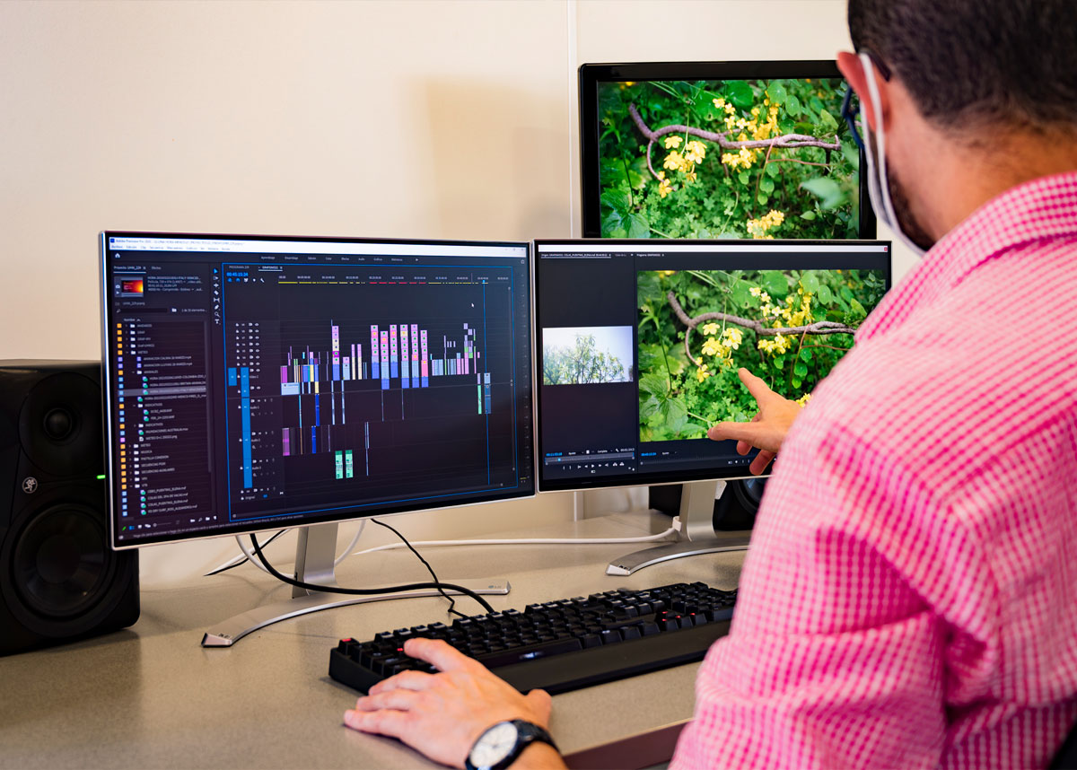 Editing & Post-Production Rooms