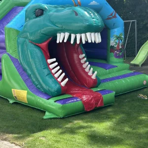 Dino med rutchebane