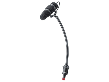 DPA CORE 4099 + holder