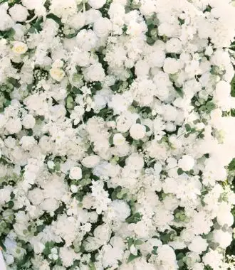 Flora