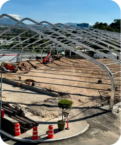 Carpa Arcum
