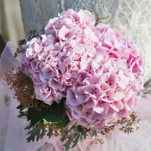 Ramo de novia hortensia rosada