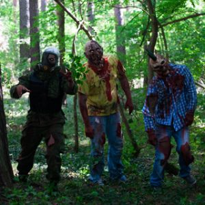 The living Dead Experience