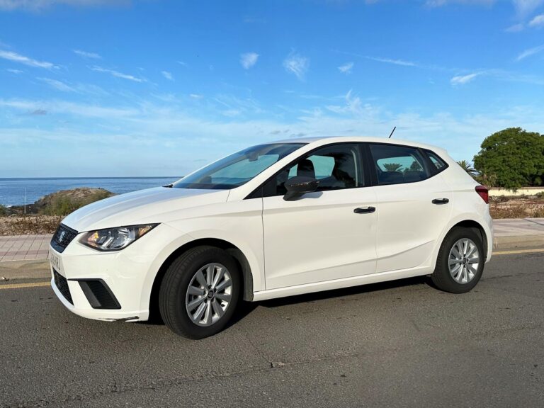 Seat Ibiza – Gruppe C