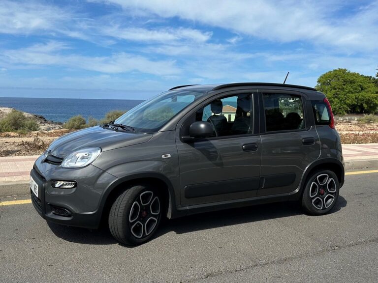 Fiat Panda – Gruppe A