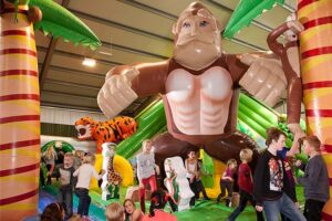 Inflatables (Hüpfburgen & Aufblasbare)