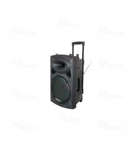 Enceinte De Sonorisation Portable IBIZA PORT15-VHF