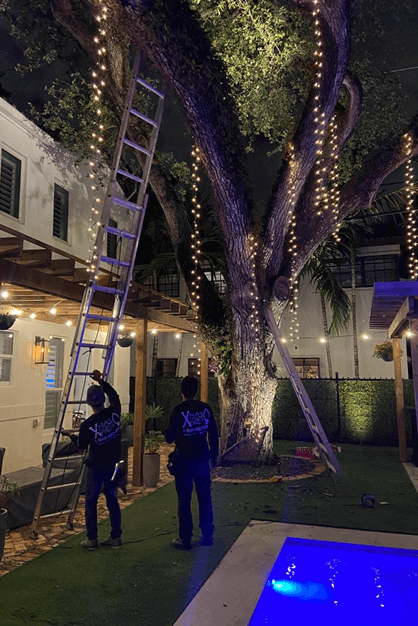 Christmas Lighting Maintenance