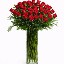 Four Dozen Roses Grand Statement Arrangement