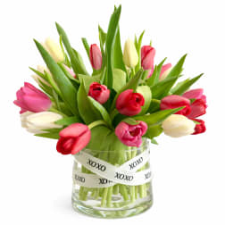 Fresh Tulip Arrangement In Glass Vase