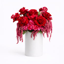 Red Statement Roses
