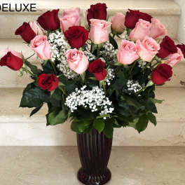 36 Roses Red And Pink Long Stem Arranged In A Vase