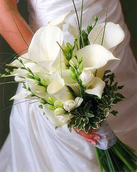 Callas & Freesia