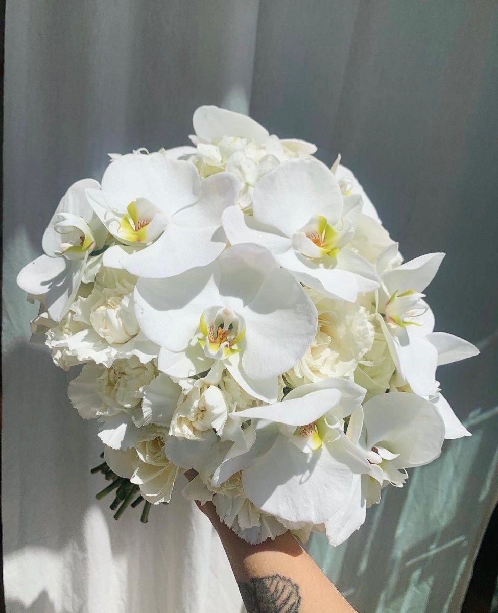 SPOSA