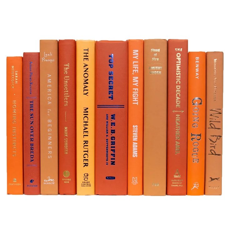 Modern Orange and Yellow Decorative Book Set
