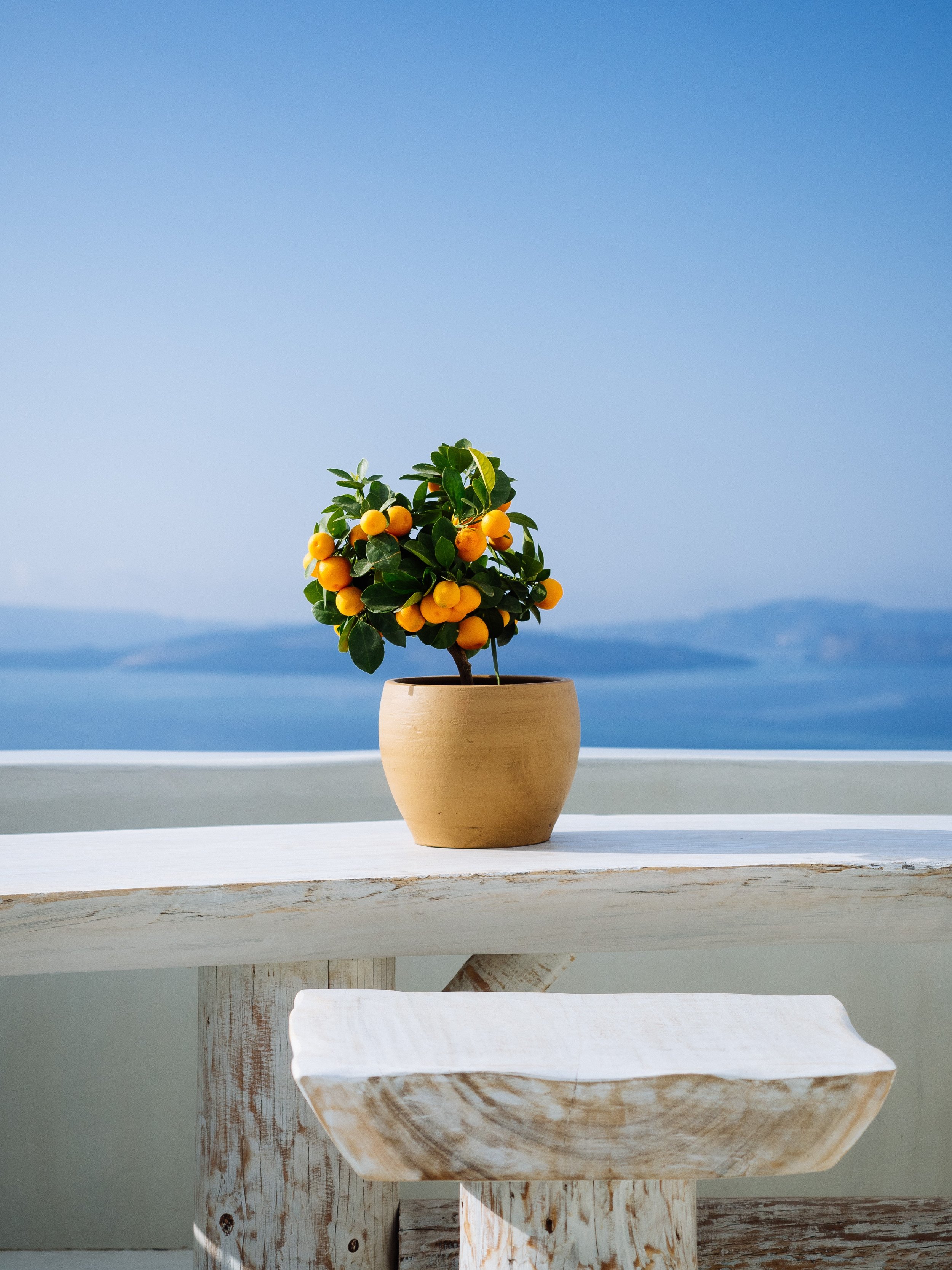 Decoración de bodas