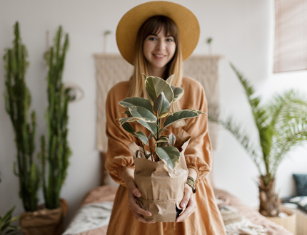 Plantas