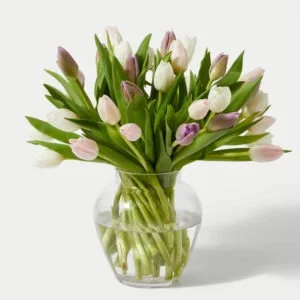 Ramo de Tulipanes mixtos