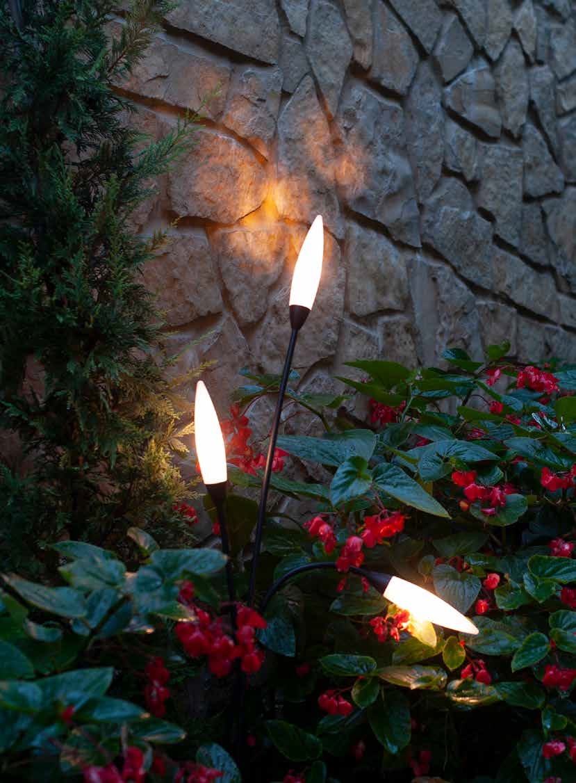 Iluminación de Diseño