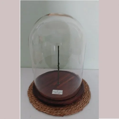 Campana de cristal para Ramo de Novia Preservado Grande