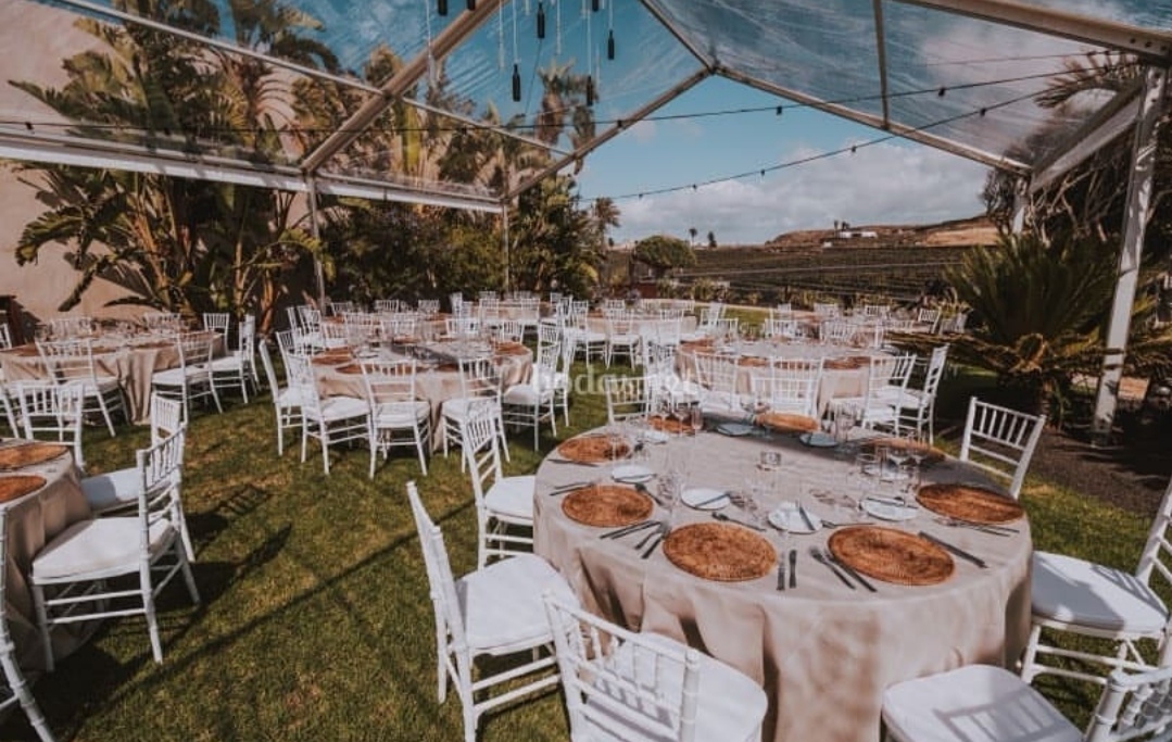 Zona Garden – Espacio para Eventos y Bodas de Lujo