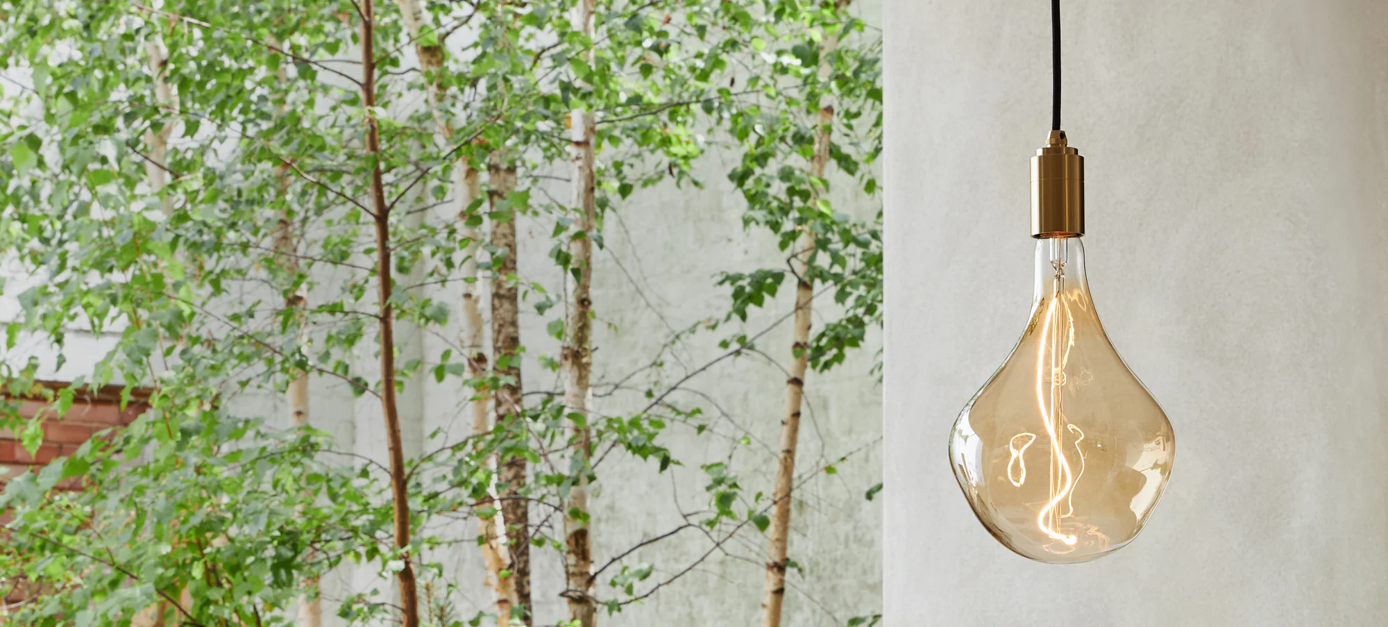 Tala Lighting – Nachhaltige LED-Beleuchtung