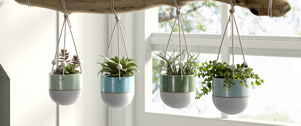 Plantas Naturales