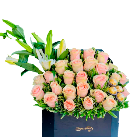 BAUL-MD1051