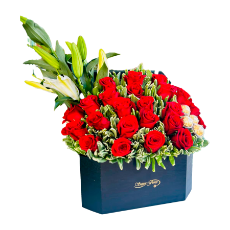 BAUL-MD1041