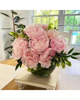 Peony Infatuation