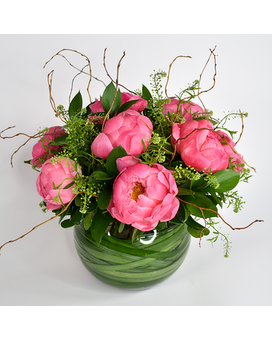 Peony Allure