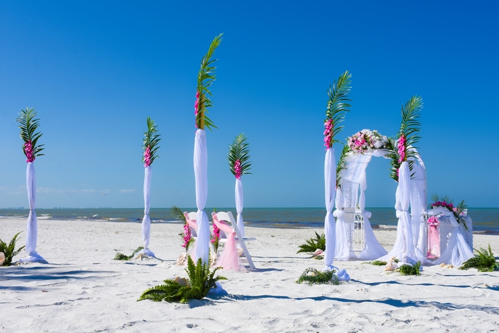 Hochzeitspaket Birch Love