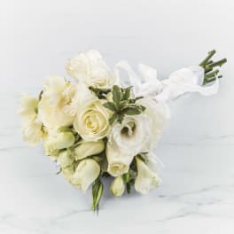 Boldly Bashful By BloomNation™