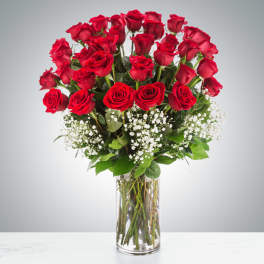 Grandeur Long Stem Rose Arrangement By BloomNation™