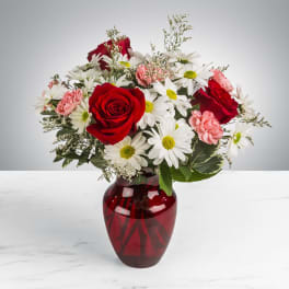 Boldly Bashful By BloomNation™