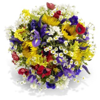 Happy Day