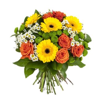 Daisy Mix