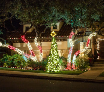Holiday Lighting