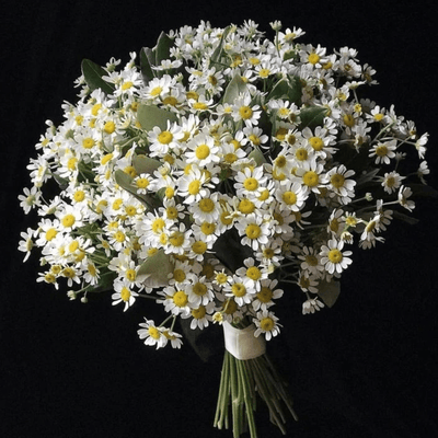 Daisies Wedding Bouquet