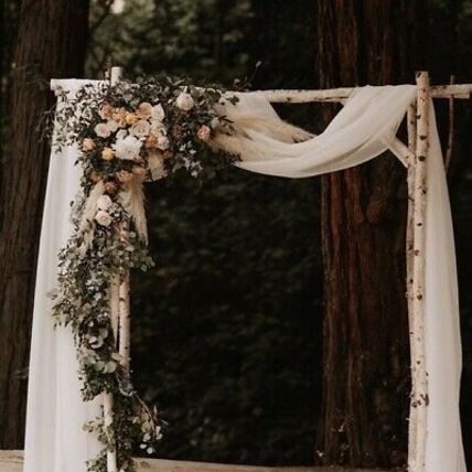 Birch Wedding Arch