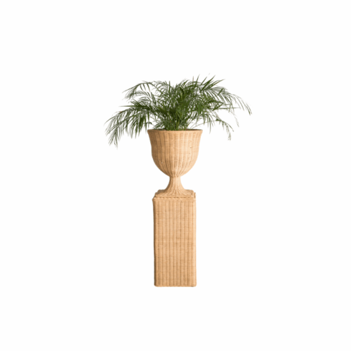 Pedestal Ratán M