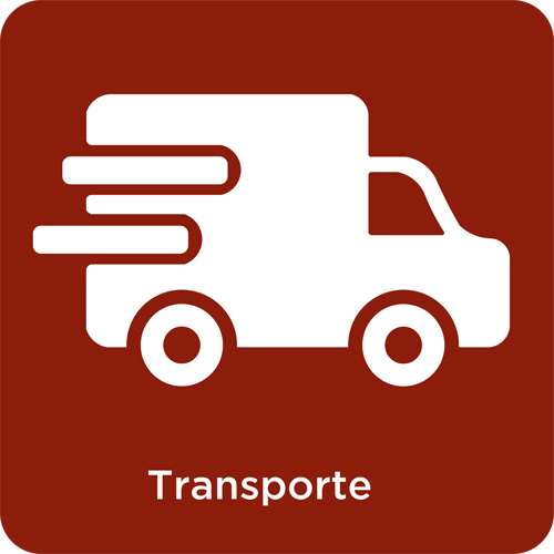 Transporte National & International