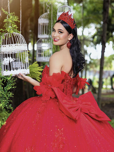 MDR113 Red Passion Dress