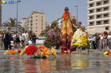 Puerto de la Cruz en Flor