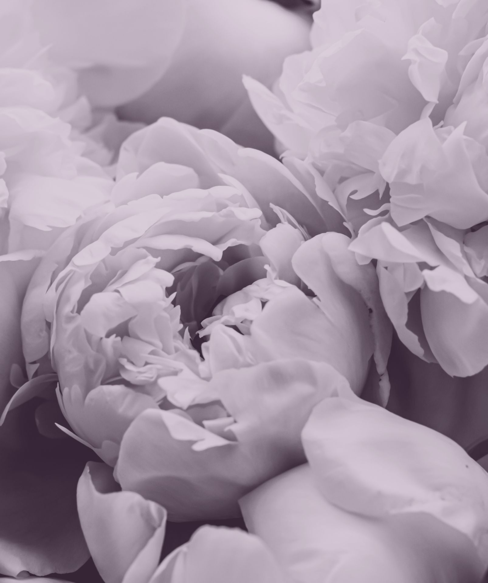 Blumendekoration für Firmenevents