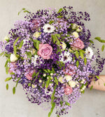 Lady Violetta