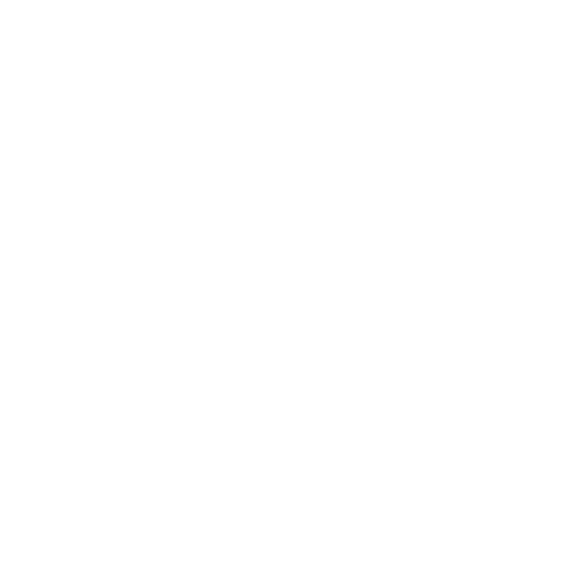 VIP-Service