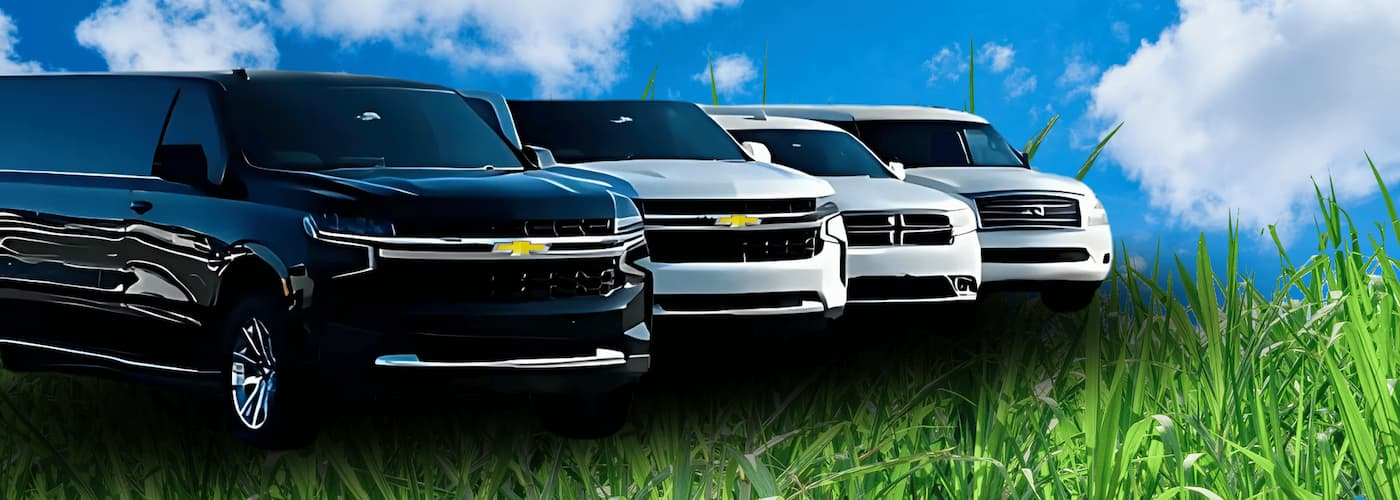 Party Limousines