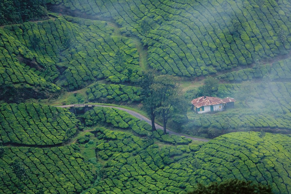 Voyage sur mesure en Inde