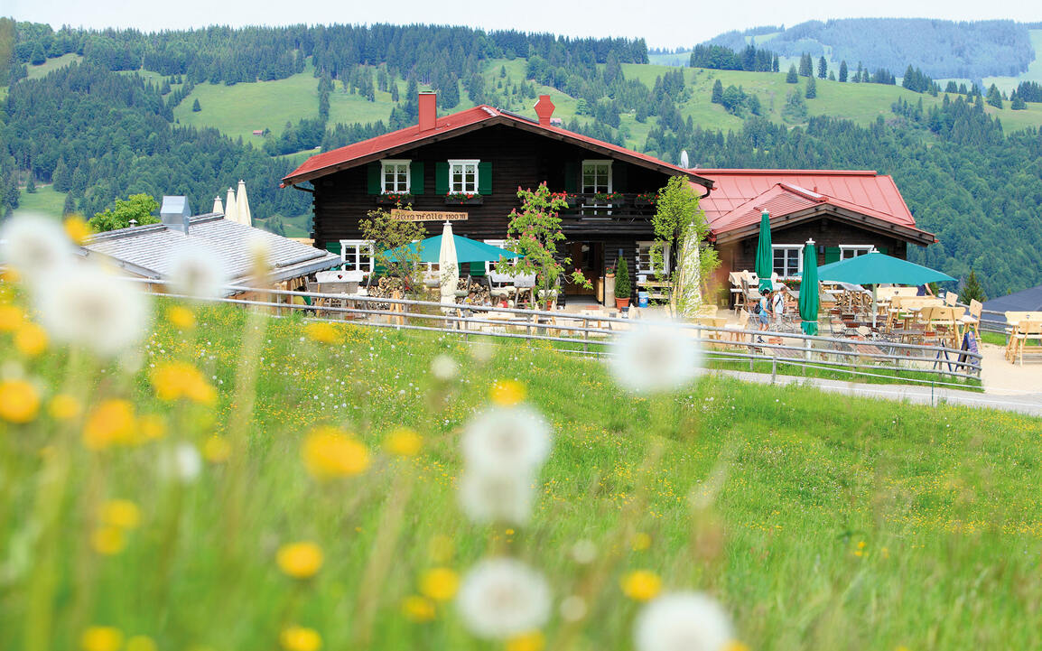 Alpsee Bergwelt
